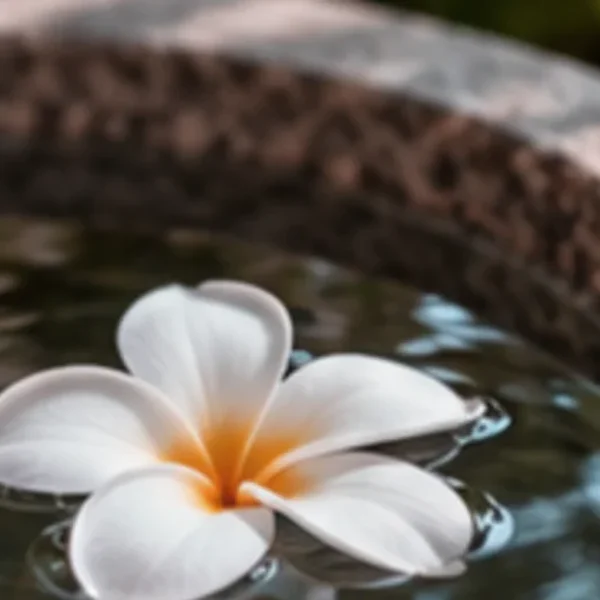 포레스트 예리스튜디오 마사지 대표 안내 이미지
