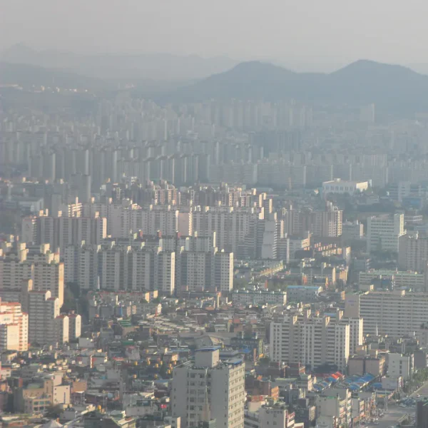 스테이 리서포레스트 홈타이 대표 안내 이미지