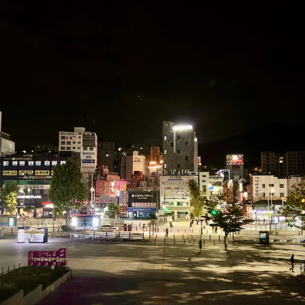 모던 미나가든 테라피 대표 안내 이미지